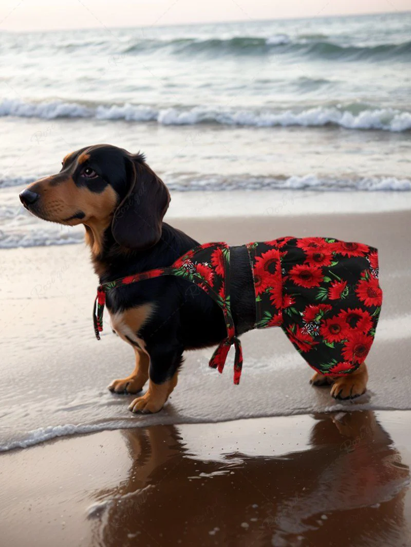 Daisy Flower Print Hawaii Shirt Bikini Set Dog And Owner Matching Outfits - Image 3