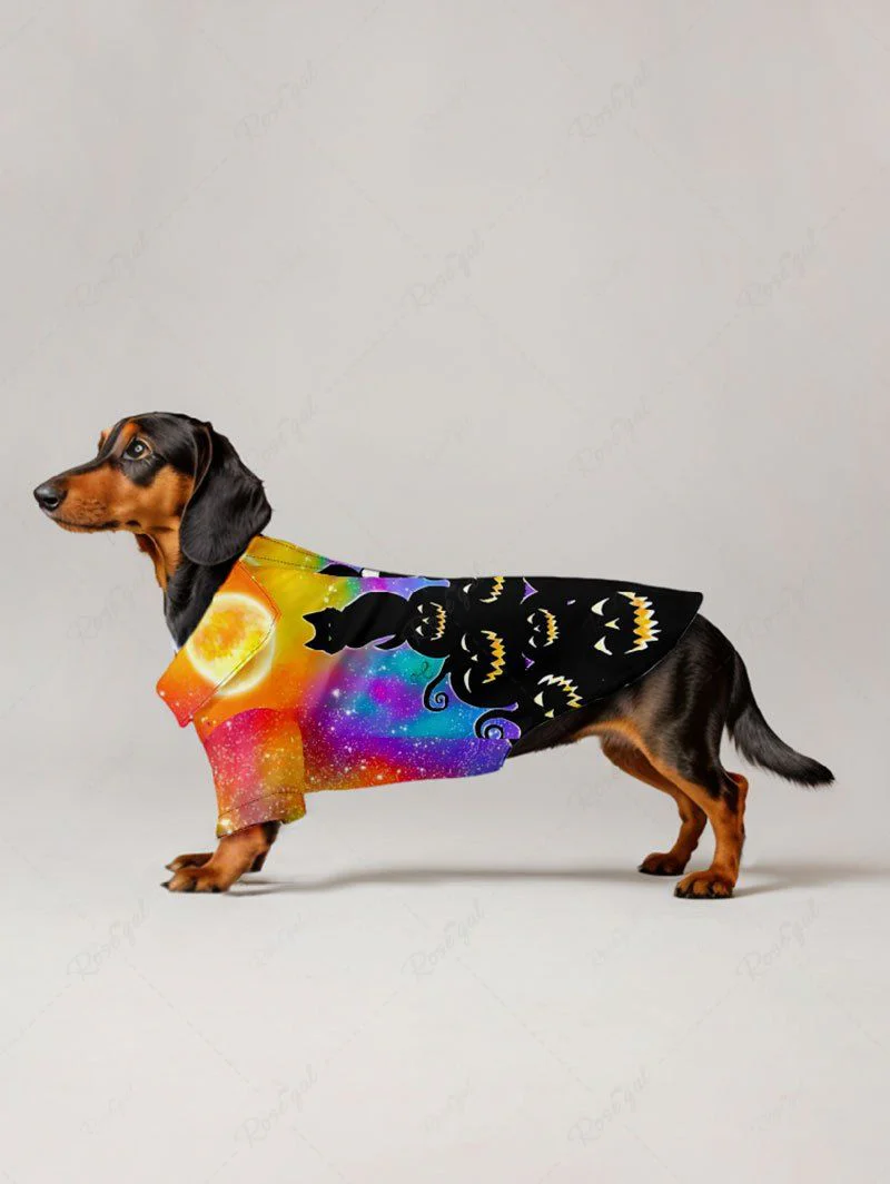 Halloween Costume Cat Pumpkin Glitter Moon Colorful Ombre Galaxy Print Dog And Owner Matching Outfits - Image 5