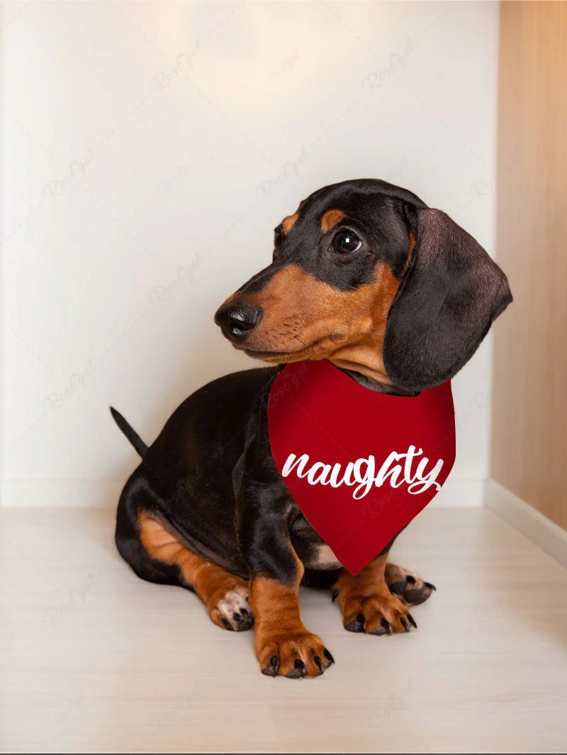 Letters Print Two Tone Pants Bandana Bibs Dog And Owner Matching Outfits - Image 4