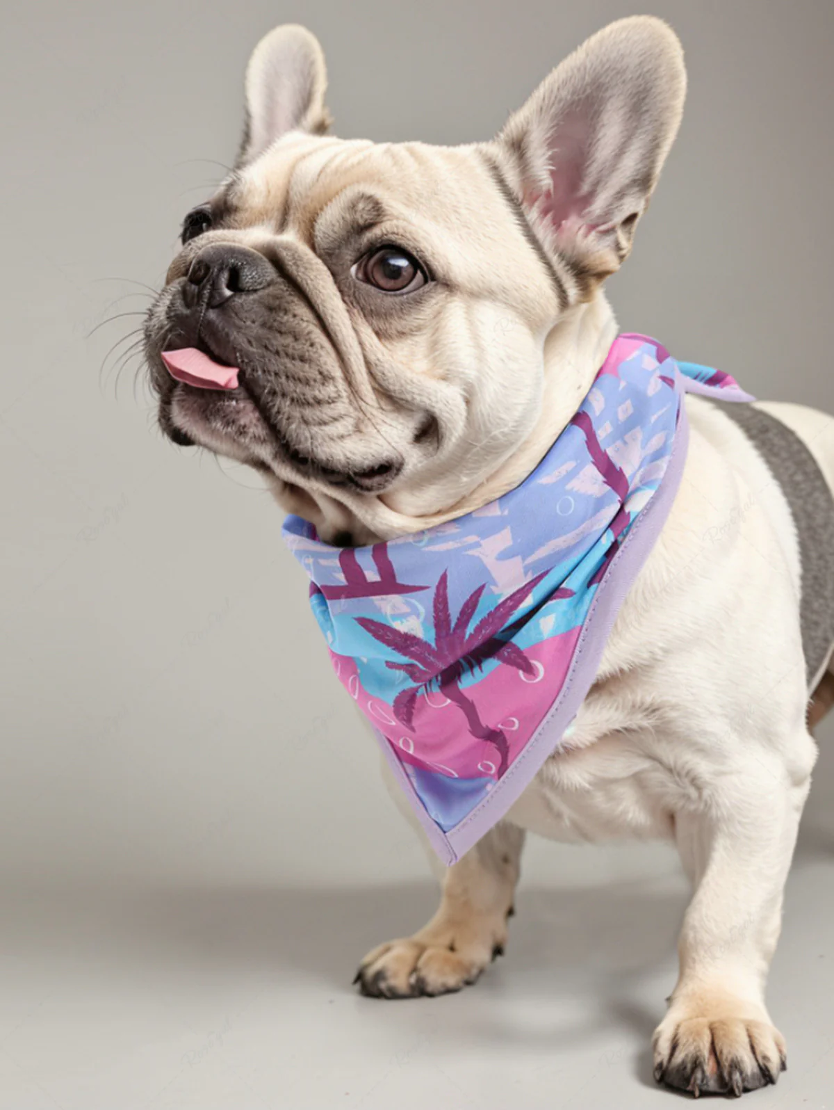 Pet's Coconut Tree Bubble Colorblock Printed Hawaii Bandana - Image 3