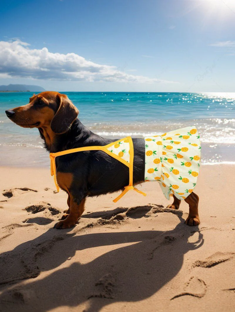 Pineapple Print Hawaii Shirt Bikini Dog And Owner Matching Outfits - Image 3